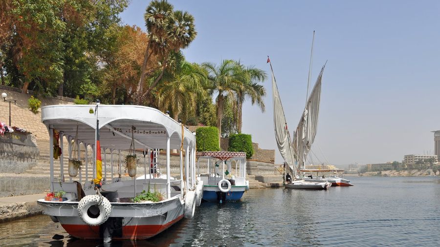 Covered tour boats and moored feluccas with furled sails along the palm-lined bank of the Nile near Kitchener's Island in Aswan, Egypt, under a hazy desert sky