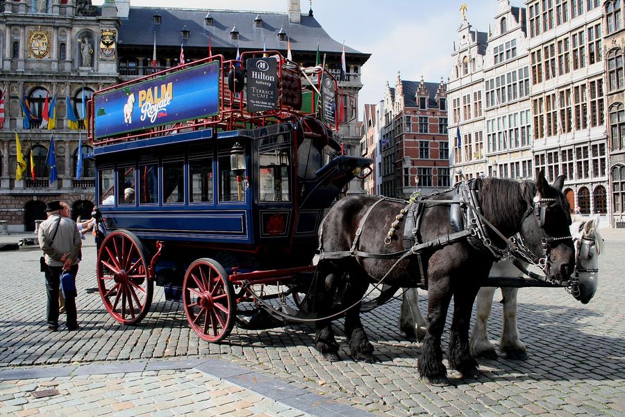 The ornate Renaissance guildhalls and gilded town hall around Antwerp's Grote Markt, with the Brabo Fountain in front