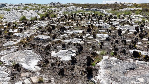 Best Time to Visit Cape Town: A Season-by-Season Guide