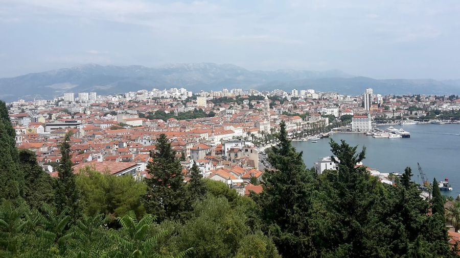 Aerial view from Marjan hill over Split's terracotta old-town rooftops, the Cathedral of St Domnius bell tower, the palm-lined Riva, and the ferry harbour, with the Dinaric mountains beyond