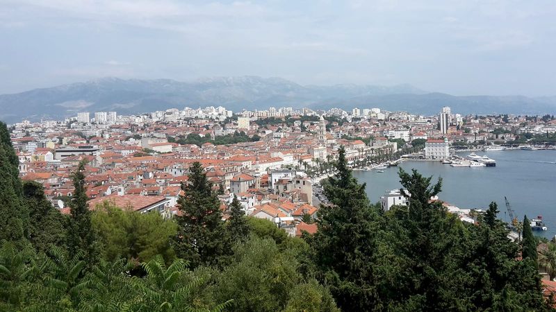 Aerial view from Marjan hill over Split's terracotta old-town rooftops, the Cathedral of St Domnius bell tower, the palm-lined Riva, and the ferry harbour, with the Dinaric mountains beyond