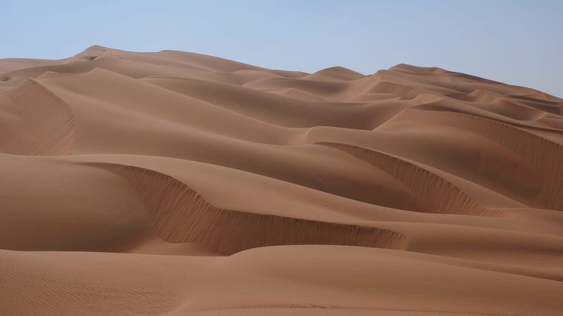Rolling golden sand dunes of the Arabian desert rippled by the wind and stretching to the horizon under a pale clear sky
