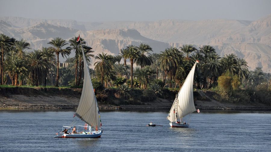 Two traditional feluccas with tall white lateen sails on the Nile at Luxor, Egypt, passing a palm-lined bank below the hazy Theban west-bank cliffs