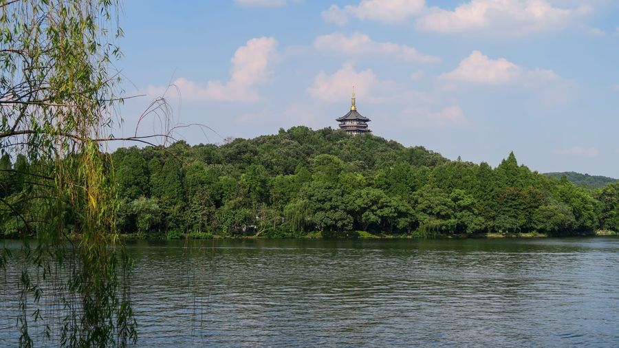 The golden-tiered Leifeng Pagoda rising above the far shore of Hangzhou's West Lake, framed by drooping green willow branches, with the calm water and wooded hills stretching between