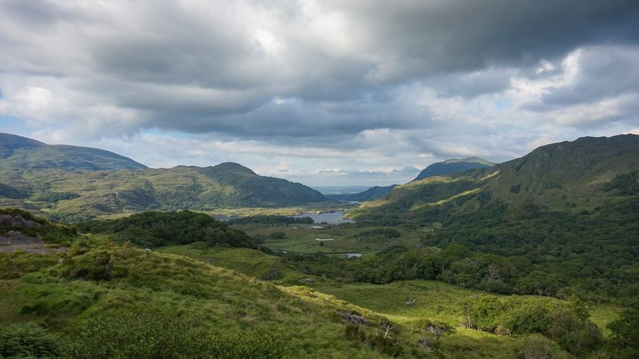 Summer view over the Lakes of Killarney from Ladies View on the Ring of Kerry, with mountains and native woodland in Killarney National Park