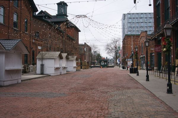 Guided Tours in Toronto: Choosing the Right Experience
